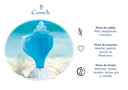 CONCH CARIBE 50ML 2022