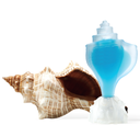 CONCH CARIBE 3ML 2022